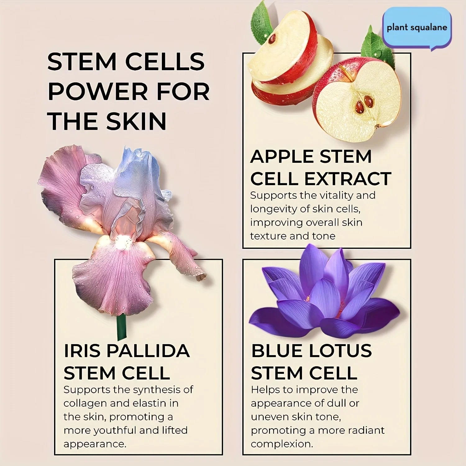 Collagen Face Cream | Retinol, Niacinamide & Hyaluronic Acid Collagen Face Cream Oasis Select