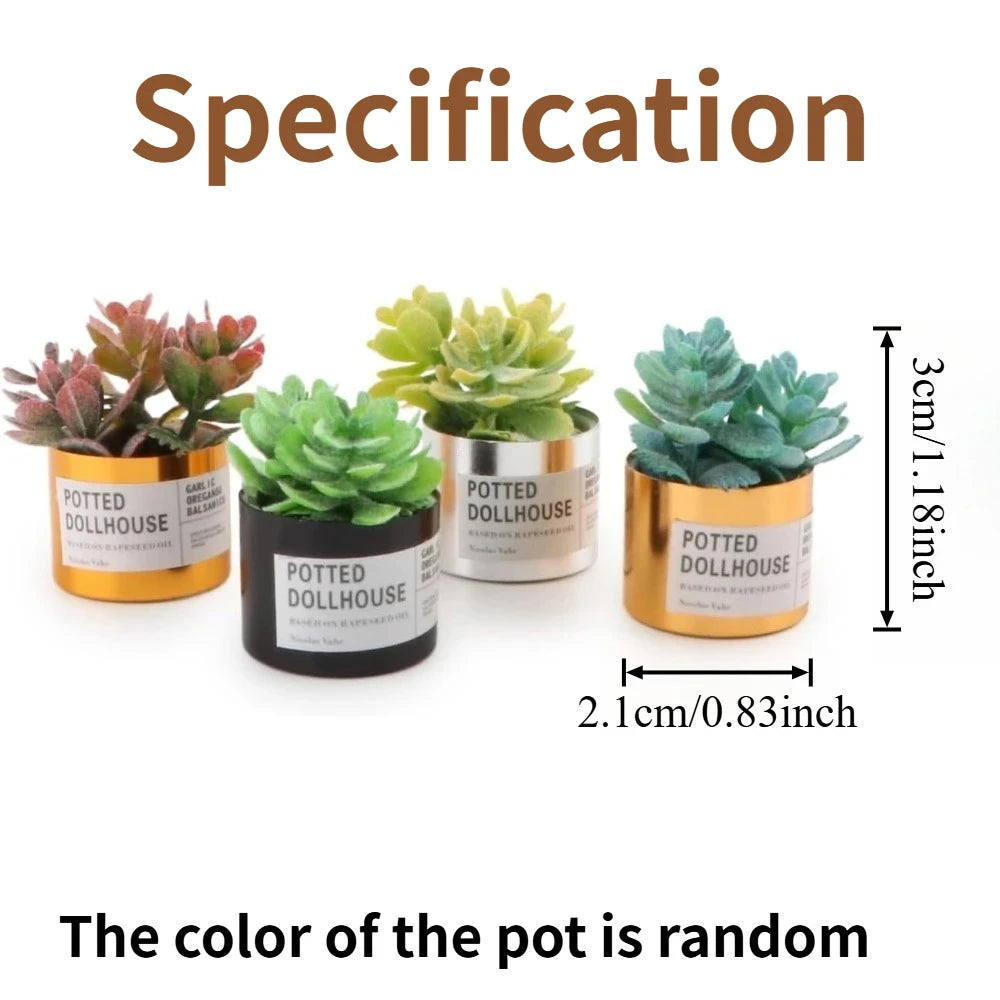 Mini Plastic Succulent Pots Small Succulent Pots Funny Plant Pots Doll House Decor Fairy Garden Micro Landscape Desk Accessories Oasis Select