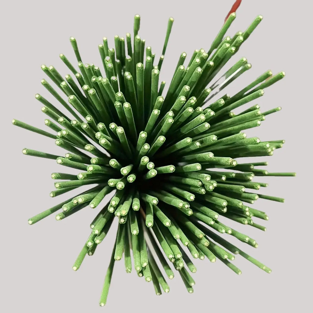 45 Min Burn Citronella Incense Sticks Lemongrass Scent Air Purifying for Camping Patio Holiday Decor Halloween Christmas Easter Oasis Select