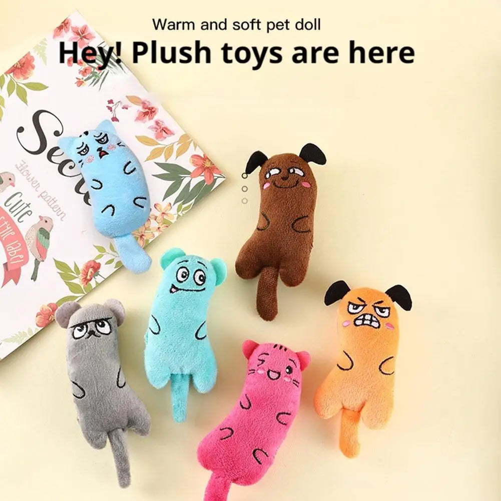 Catnip Plush Cat Toy – Cartoon Expression Crinkle Mouse