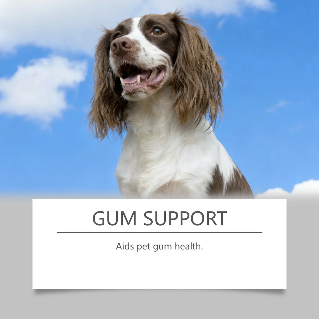 Pet Dental Care Liquid Reduces Plaque & Tartar Clean Dental Plaque Breath Freshener for Dogs Cats Eliminate Bad Breath Oral Care Oasis Select