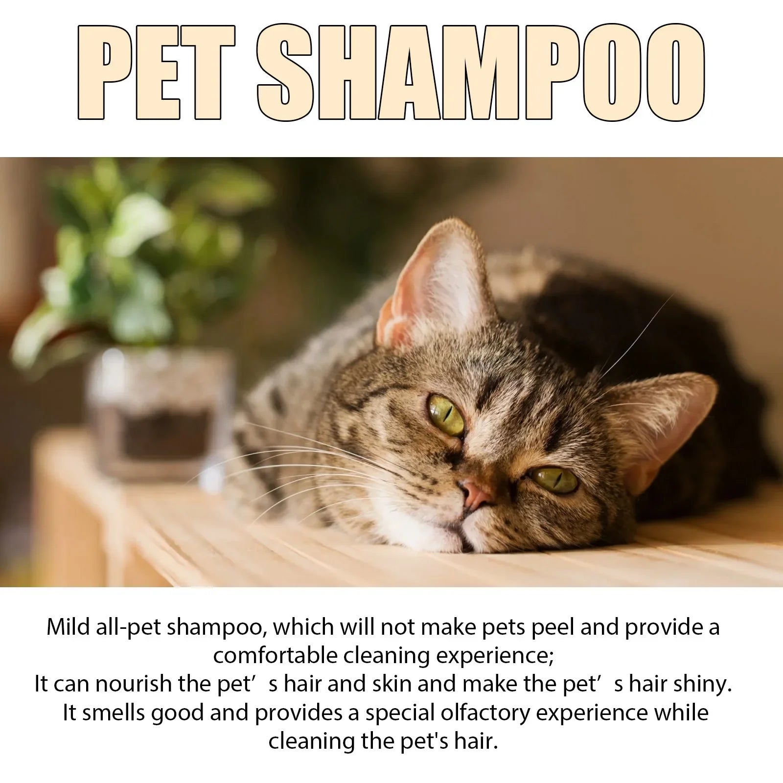 Pet Shampoo Cats and Dogs Gentle Cleansing Natural Formula Smooth Non Tangling Fur Fragrance Moisturizing Pet Grooming Supplies Oasis Select