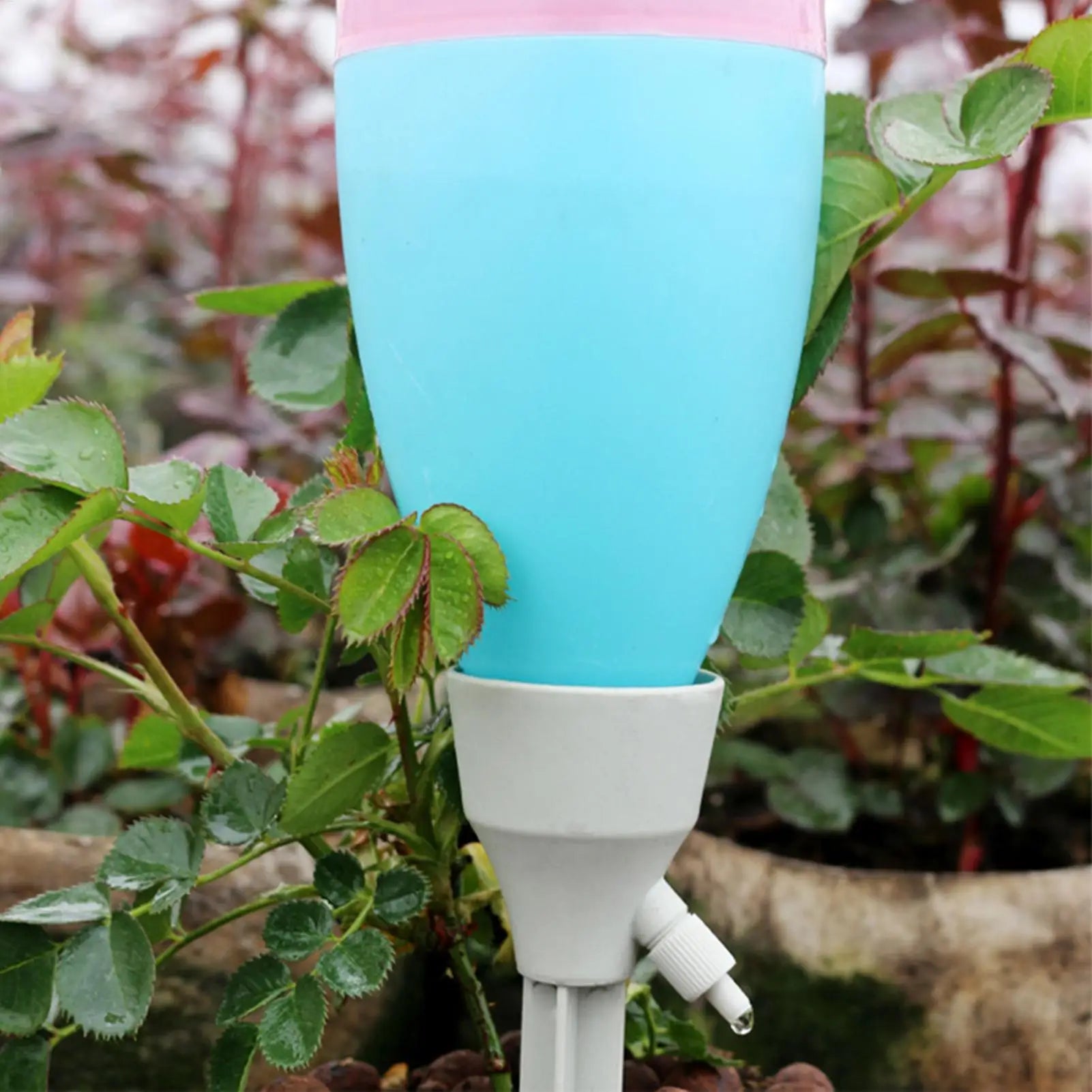 Watering Spikes 3Pcs Adjustable Drip Irrigation System Automatic Self Watering Spikes For Plants Indoor Outdoor Potted Plants Oasis Select