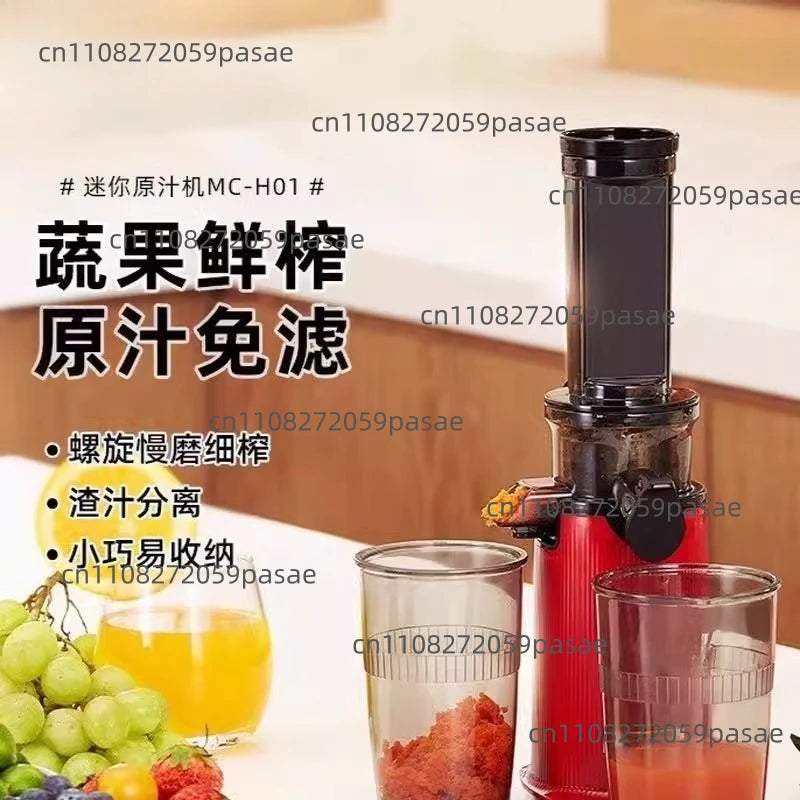 Compact Slow Juicer – Fruit & Vegetable Cold-Press Extractor