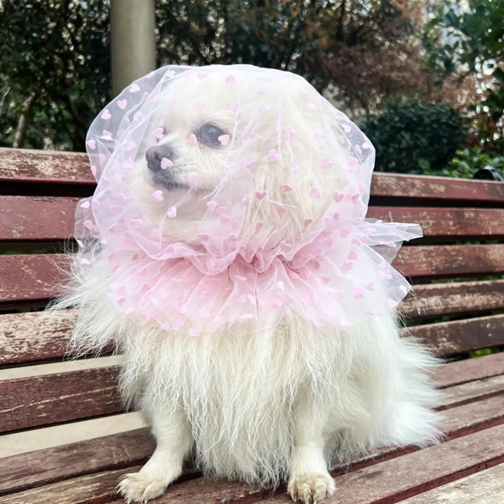 4Pcs Pet Mesh Head Cover For Dogs Anti-Eating Stray Headgear Breathable Portable Outdoor Walking Muzzle Sleeve Pet Accessories Oasis Select