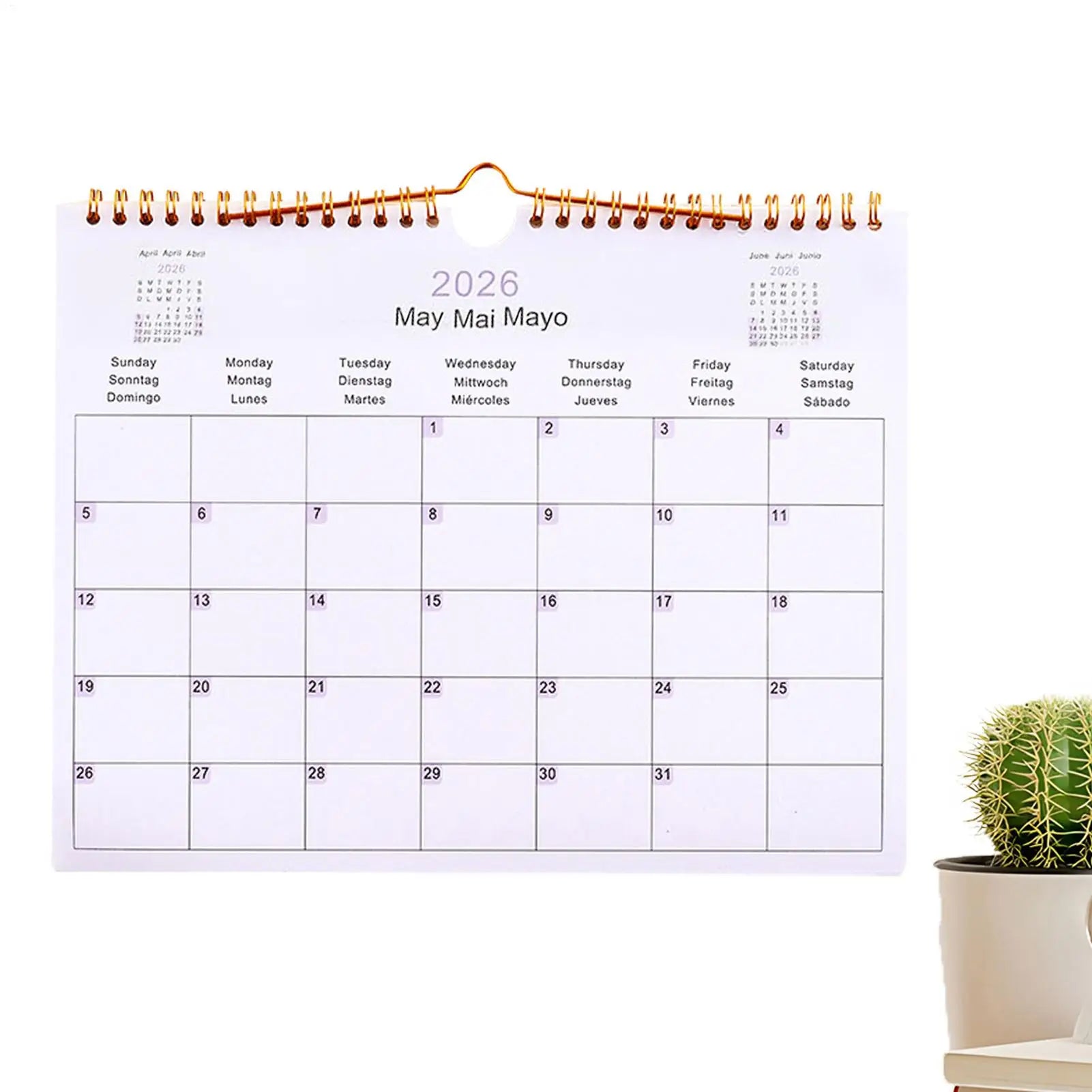 Wall Calendar 2026 12 Month Multilingual Coil Wall Calendar Modern Decorative Planner for Bedroom Dormitory Apartment Family Oasis Select