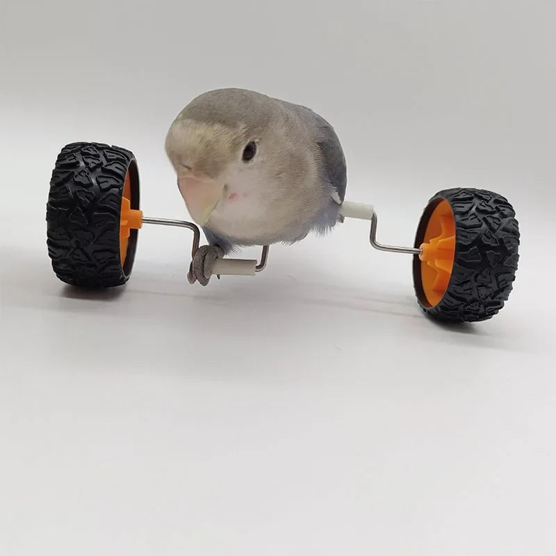 Parrot Balance Car Deboring Toys Small and Medium-Sized Bird Supplies Roller Skateboard Skill Training Props Phoenix Bird Toys Oasis Select