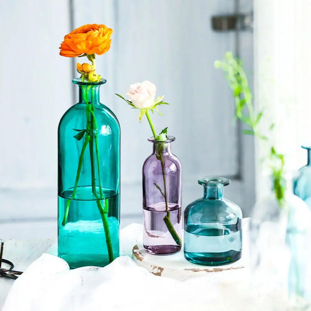 Transparent Glass Flower Vase | Modern Hydroponic Table Decor Glass Flower Vase Oasis Select