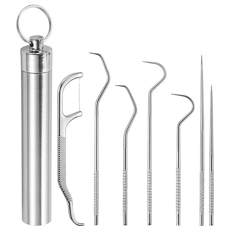 Stainless Steel Toothpick Set – 7-Piece Portable Dental Kit Dental Cleaning Set Oasis Select