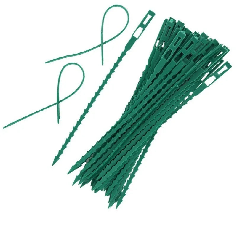 50pcs Adjustable Plastic Plant Cable Ties Reusable Cable Ties for Garden Tree Climbing Support Plant Vine Tomato Stem Clip Oasis Select