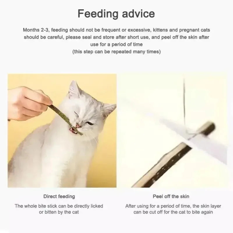 1-4pcs Natural Catnip Pet Cat Molar Toothpaste Stick Cat Snacks Sticks Pet Cleaning Teeth Cat Toys Silver Vine Pet Toy Oasis Select