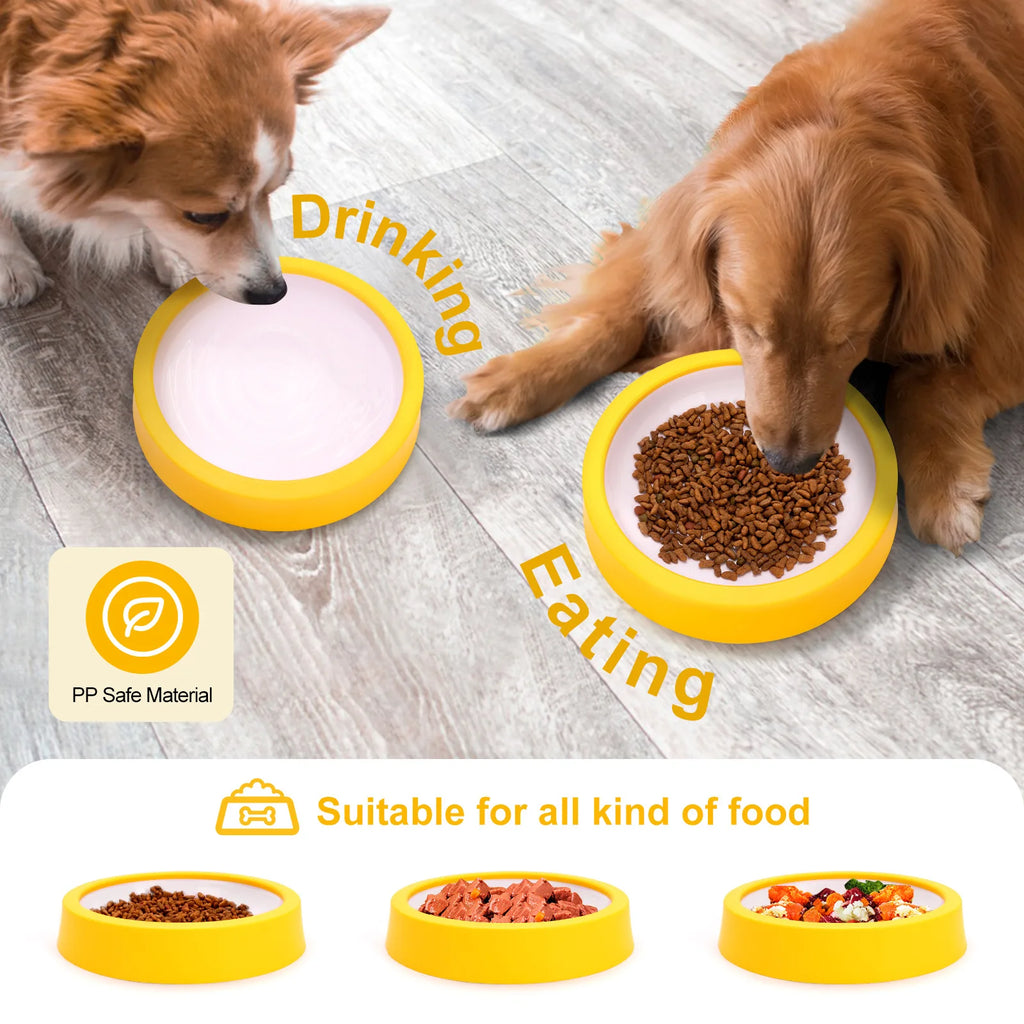 Pet cat and dog feeding bowl, small and medium-sized dog anti-spill dog bowl, PP material, easy to clean Oasis Select