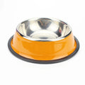 Stainless Cat Bowls Pet Steel Bowl Set Food Water Bowl for Dogs and Cats Anti-skid Cats Supplies Oasis Select Orange 22cm