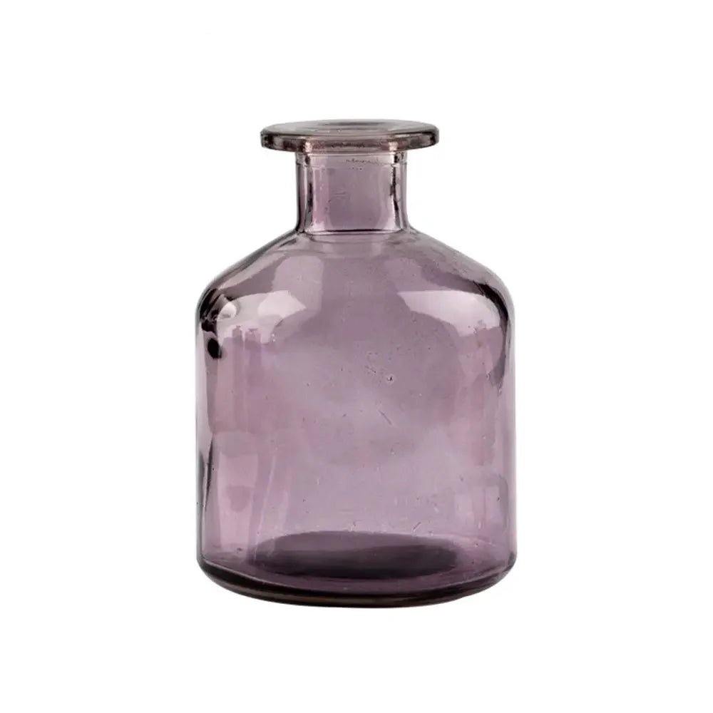 Transparent Glass Flower Vase | Modern Hydroponic Table Decor Glass Flower Vase Oasis Select Purple-Dadu