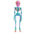 Mini Poseable Skeleton Fridge Magnet | 3D Halloween Decor