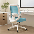 Computer chair Office chair Dormitory swivel chair Backrest seat Writing desk chair Student study chair Oasis Select 1