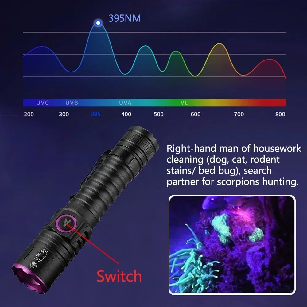POCKETMAN 365/395nm UV Black Light Flashlight | Type-C USB
