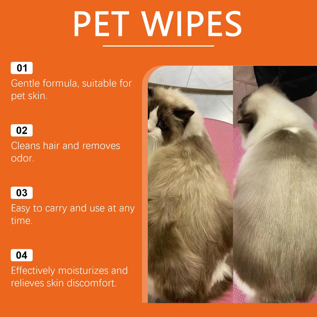 Pet Wipes Remove Dirt Stain from Pets Eliminating Odors Cleaning Hair Keep Fresh Moisturizing Soothing Portable Pet Wipes 10PCS Oasis Select