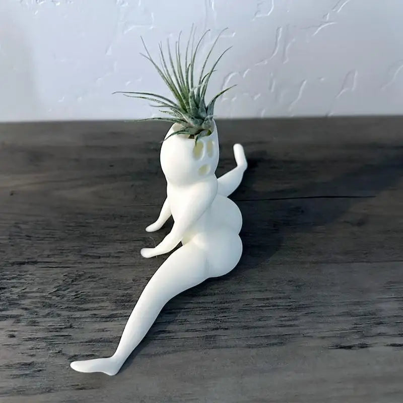 Hilarious Big Booty Ghost Planter Succulent Planter Air Plant Display Indoor Planter Decor Planter Plant Pots Funny Prank Gift Oasis Select