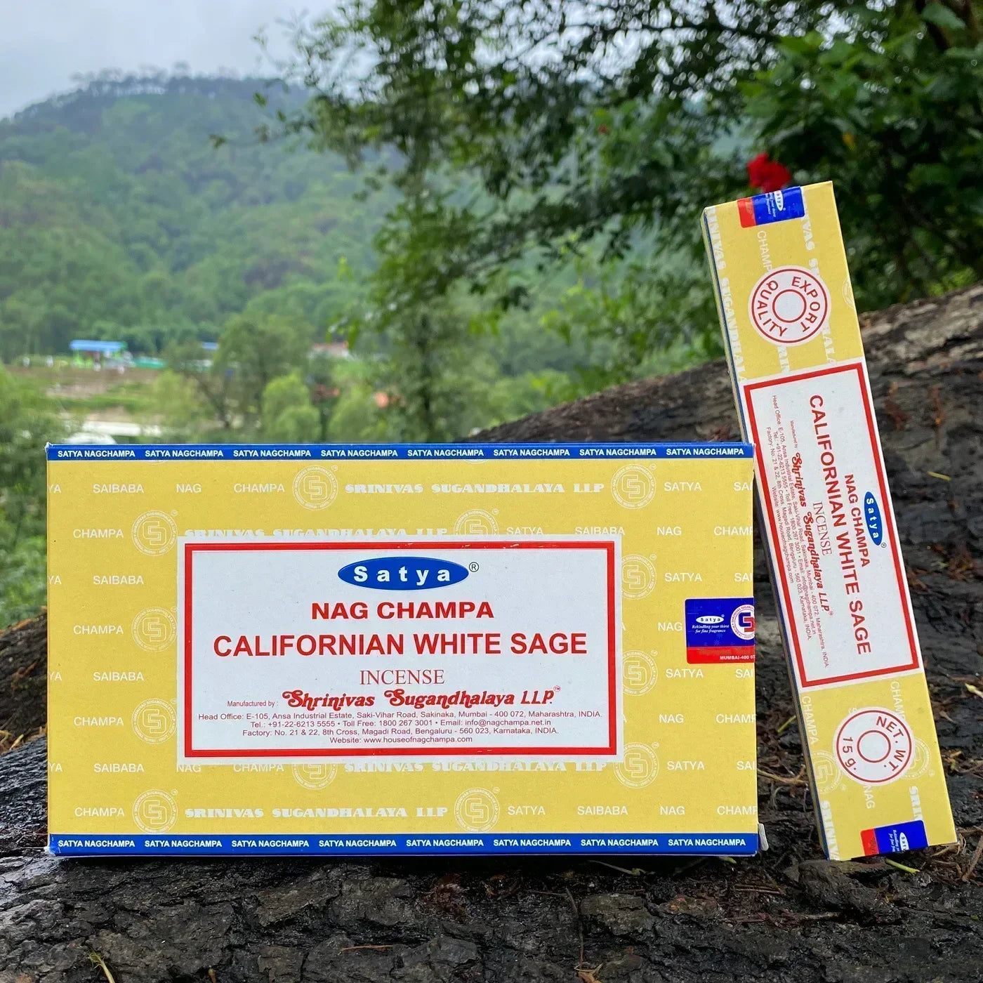 Incense Sticks Complete Boxes Satya NAGCHAMPA Original, Palo Santo DRAGONS BLOOD SANDALWOOD Natural Incenso(Handmade in India) Oasis Select California white sag 12 small boxex