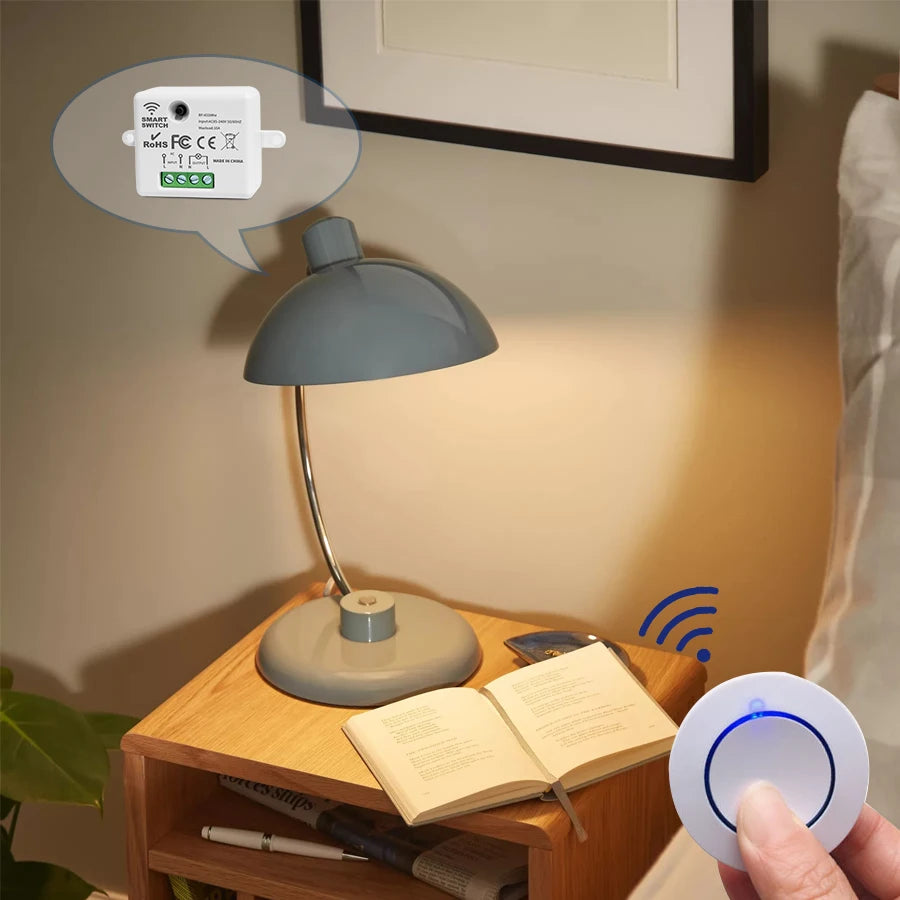 433MHz Wireless Remote Light Switch 10A Relay Controller Wireless Relay Switch Oasis Select