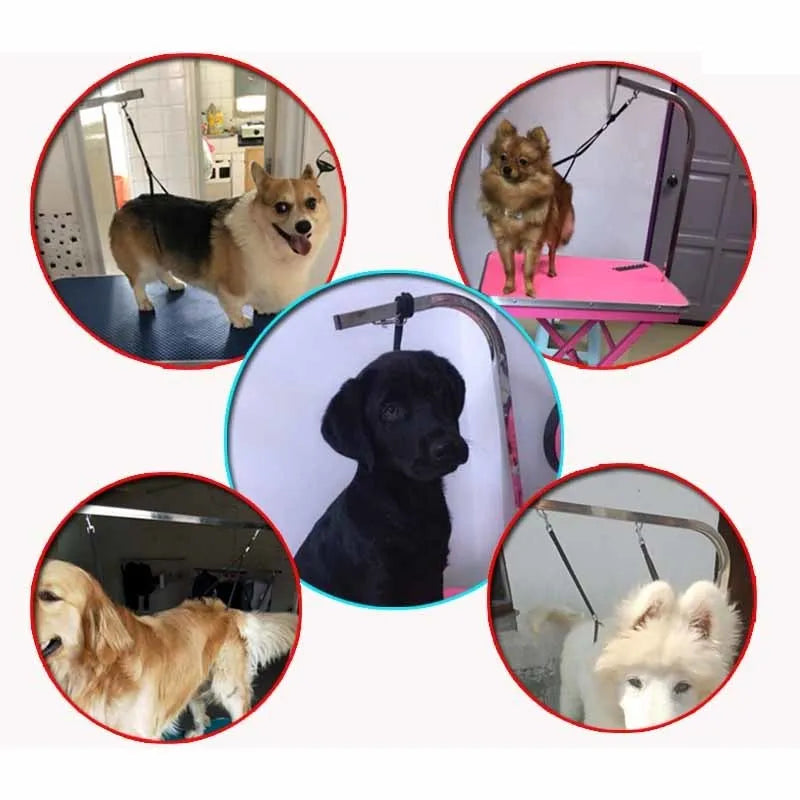 2Pcs Nylon Dog Leash Adjustable Pets Noose Loop Lock Clip Rope Durable Grooming Table Sling Cats Restraint Ropes for Bath Desks Oasis Select