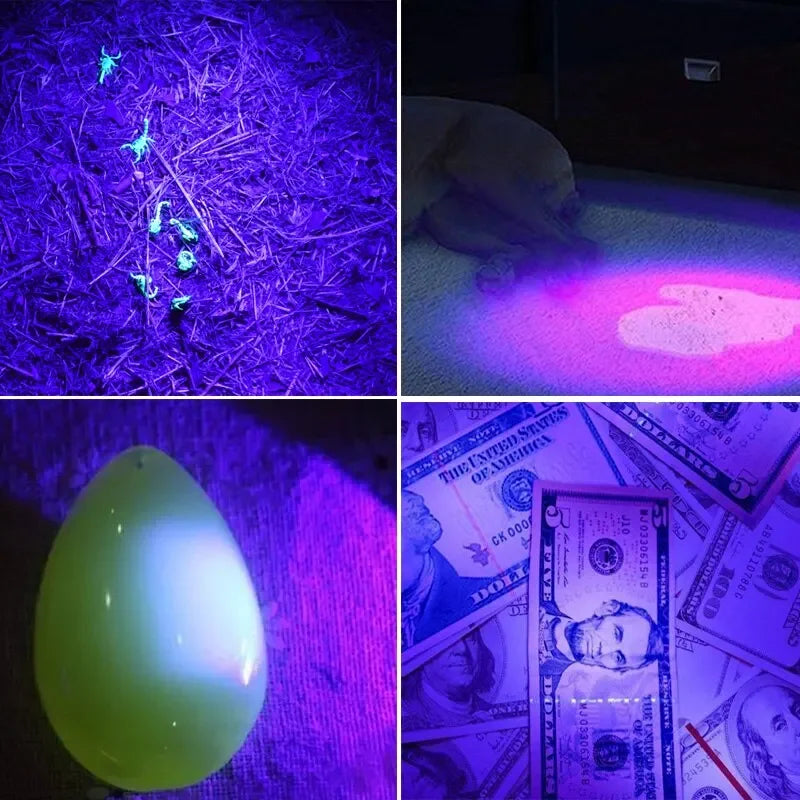 UV LED Portable Flashlight 395nm Black Light Wavelength Violet Flashlight Pet Urine Scorpion Feminine Hygiene Detector Torch Oasis Select