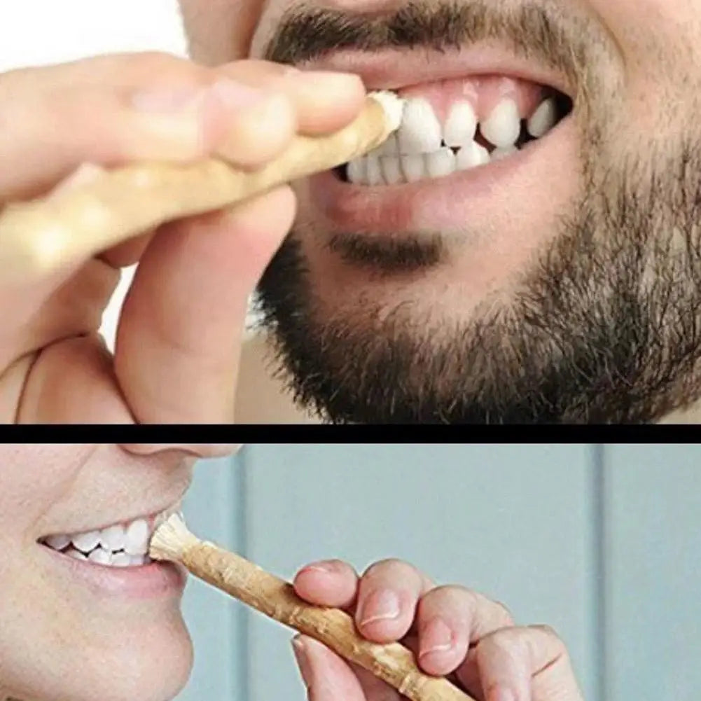 Miswak Natural Toothbrush – Siwak Arak Teeth Whitener Natural Toothbrush Oasis Select