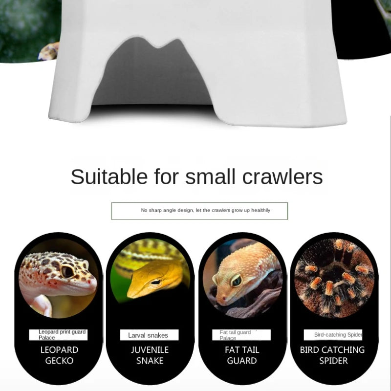 Plastic to avoid water basin reptile water basin tortoise palace Corn snake climb pet drink bowl plastic supplies simulation Oasis Select