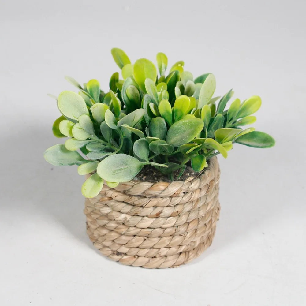 Green Artificial Potted Plant Eucalyptus Grass 11cm Simulated Potted Plants Woven Plastic Leaf Artificial Plants Home Decor Oasis Select