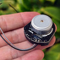 High Speed 12000RPM DC 6V-12V Brushless Motor With Drive Board Oasis Select Default Title