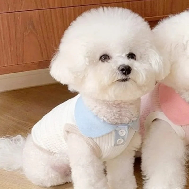 Autumn Pet Dog Polo Shirt Breathable Dog Clothes Fashion Puppy Vest Cute Solid Cat Shirt Soft Pet Costumes Macaroon Color Oasis Select White M