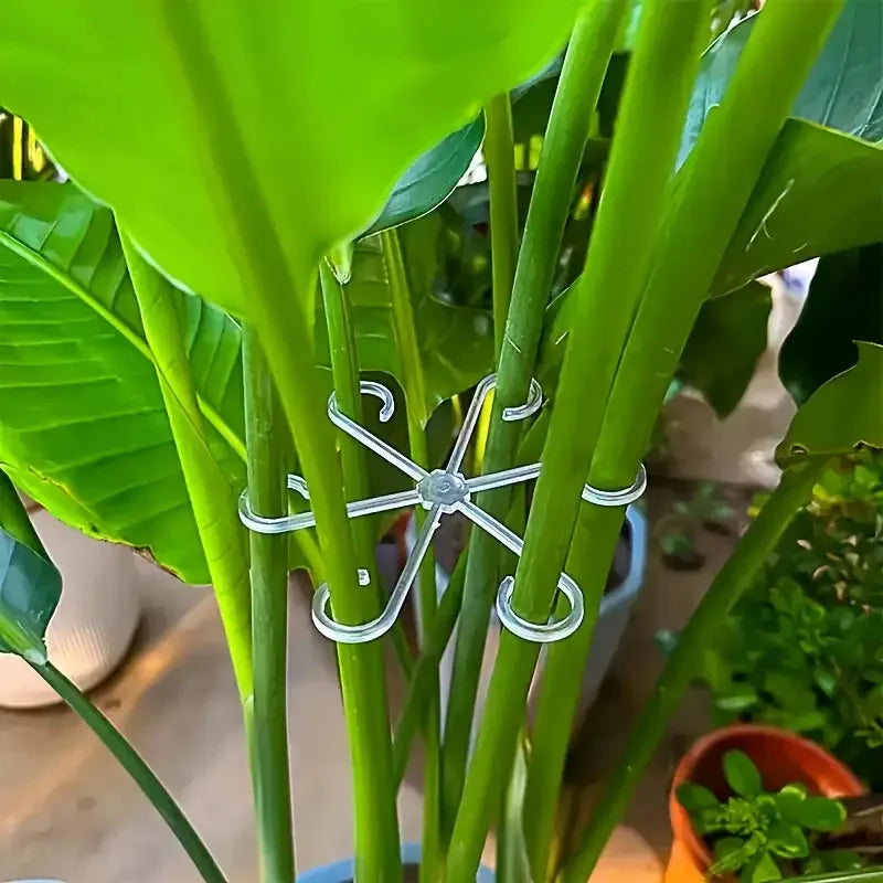 4Pcs Transparent Plant Support Stakes,U-Shaped Foldable Garden Stakes for Bamboo &Potted Plants,Indoor/Outdoor Hydroponics Use ﻿ Oasis Select