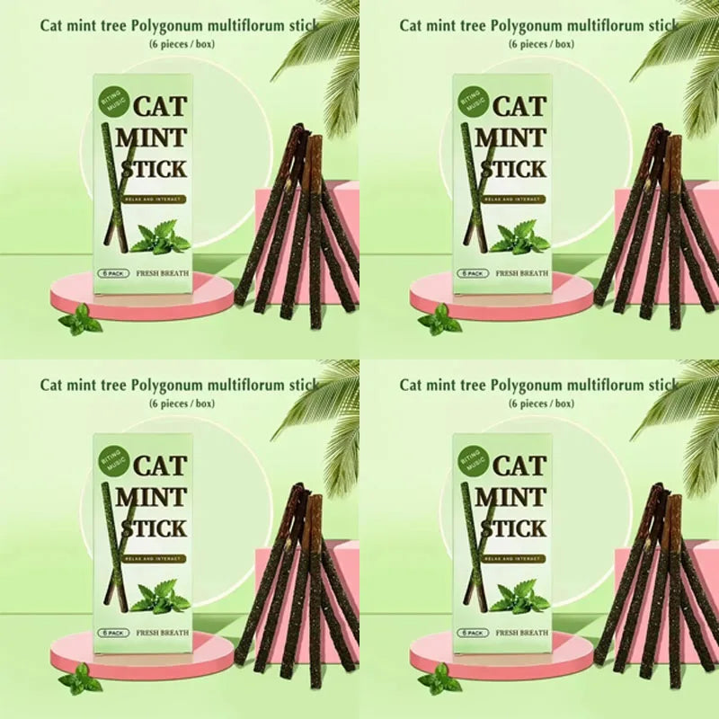 1/2/3/4box Natural Cat Stick Mint Caught Bite Excited Rods Silvervine For Cat Teeth Cleaning Treating Pet Supply Cat Supplies Oasis Select 4box Green