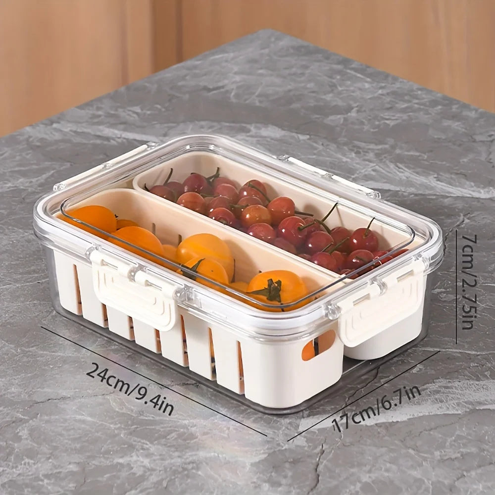 Modern plastic snack tray with lid and handles - Portable 2/4 compartment food storage box with window lid for travel Oasis Select 2cells