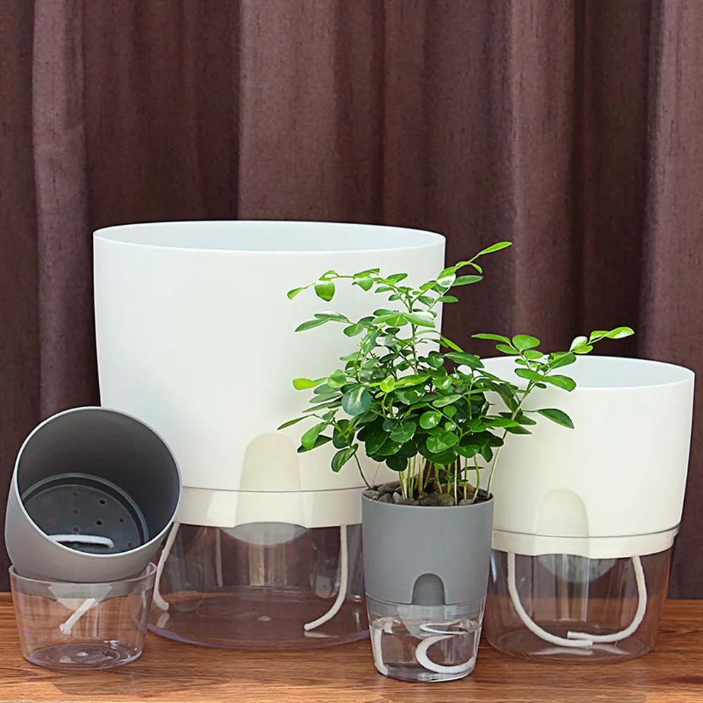Indoor Table Purifying air Garden Supplies Green Dill Office Succulents Auto Irrigate Flower Pots Home Decor Plant Pot Planters Oasis Select