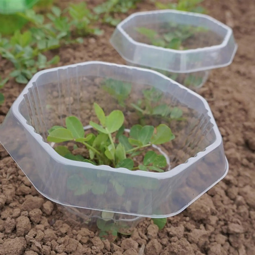 20Pcs Garden Plant Cloches Plant Garden Protective Cover Protected From Insects and Frost Weather Garden Tool for Lawn Care Oasis Select