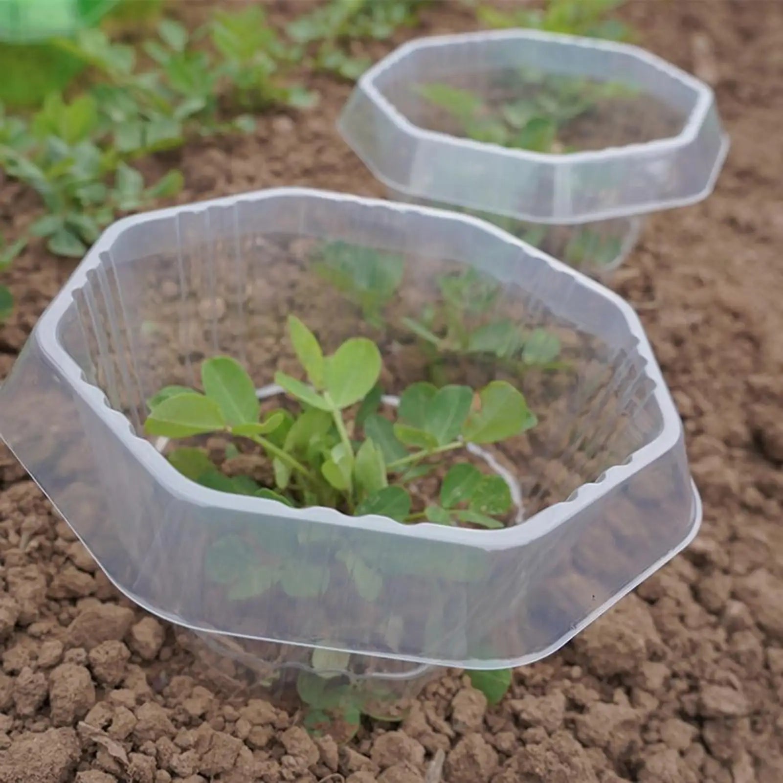 20Pcs Garden Plant Cloches Plant Garden Protective Cover Protected From Insects and Frost Weather Garden Tool for Lawn Care Oasis Select