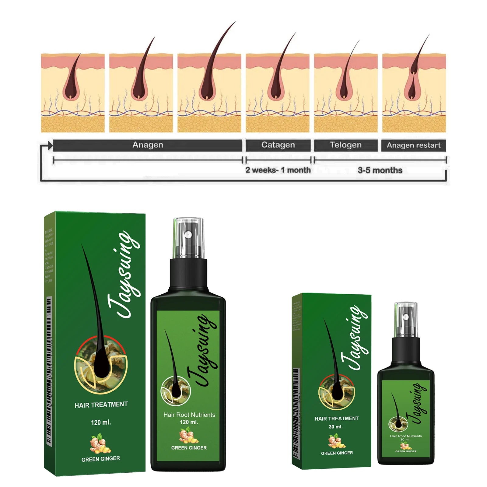 Fast Hair Growth Spray Anti-Baldness Thickening Growing Moisturize Smooth Hair Repair Split Frizz Ginger Scalp Treatment Essence Oasis Select