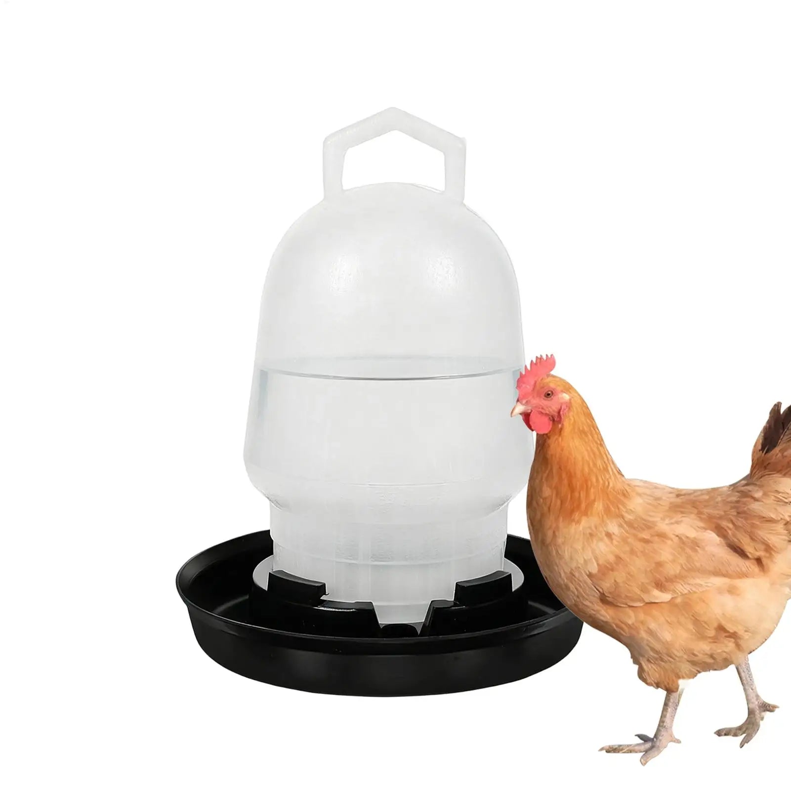 Automatic Chicken Waterer Poultry Drinker Duck Waterer for Duck Goose Pigeon Quail Livestock Coop Farm Feeding Drinking Oasis Select