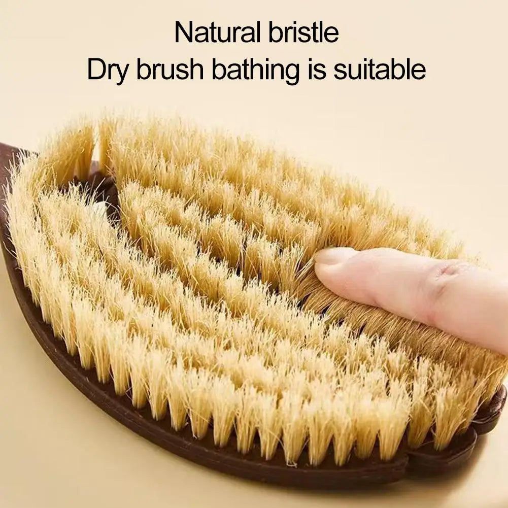 Natural Coconut Bristle Body Brush – Long Handle Back Scrubber Body Brush Oasis Select