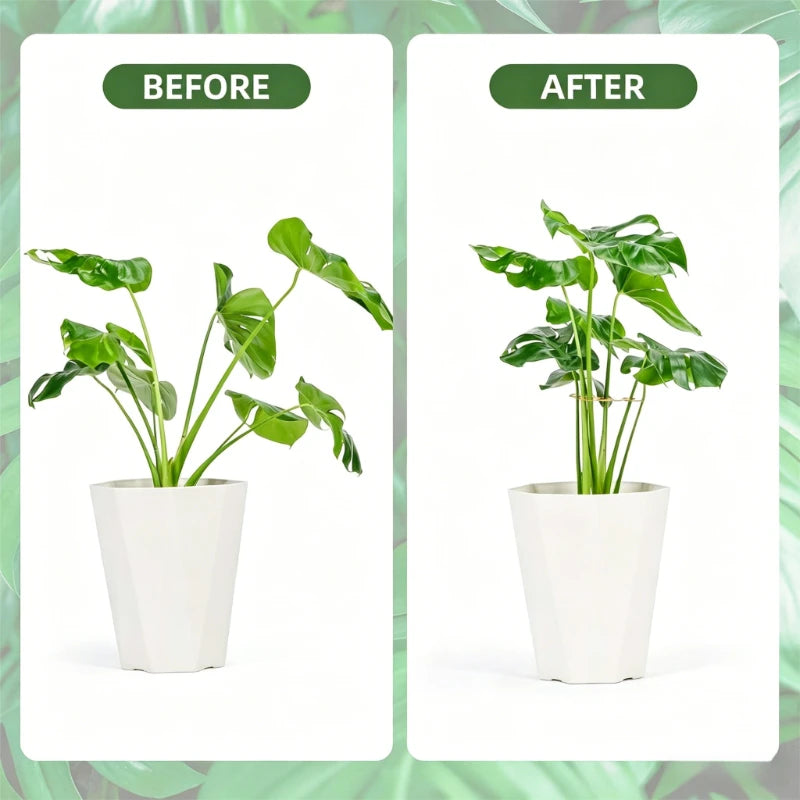 Anti-toppling Plant Stem Support No Nail Needed Multi-purpose Flower Climbing Stem Holder Vine Branch Monstera Stabilizer Oasis Select