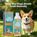 Pet Mouthwash for Dogs Cleans Teeth Freshens Bad Breath Removes Tartar Reduce Odor Daily Oral Hygiene for Dogs Oral Care Oasis Select Default Title