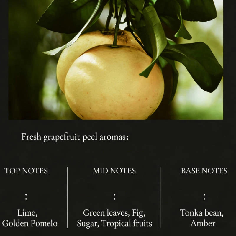Romantic Citrus Perfume Fresh Sandalwood Grapefruit Peel Aromas Woody Fragrance Daily Dating Eau De Toilette Oasis Select