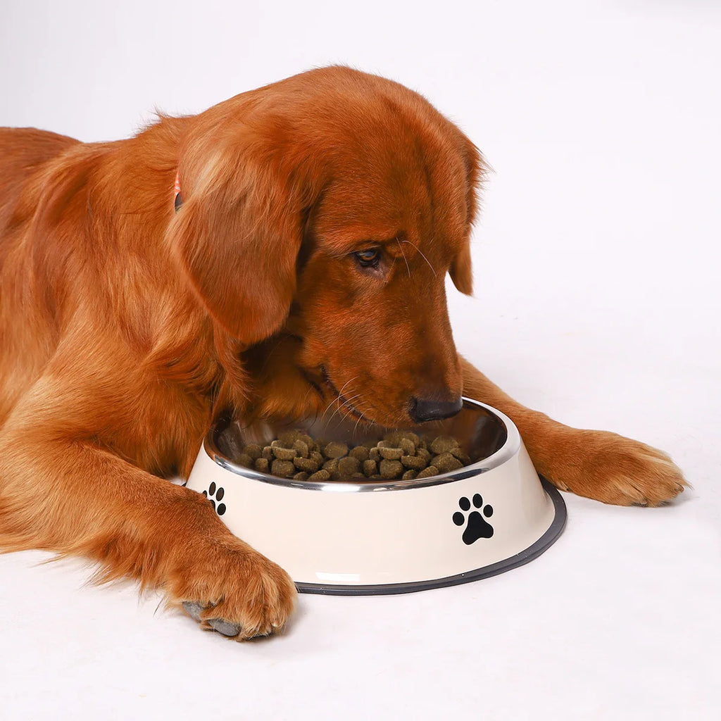 Stainless steel pet bowl cat bowl dog food bowl multiple specifications anti-fall food bowl large capacity feeding pet supplies Oasis Select