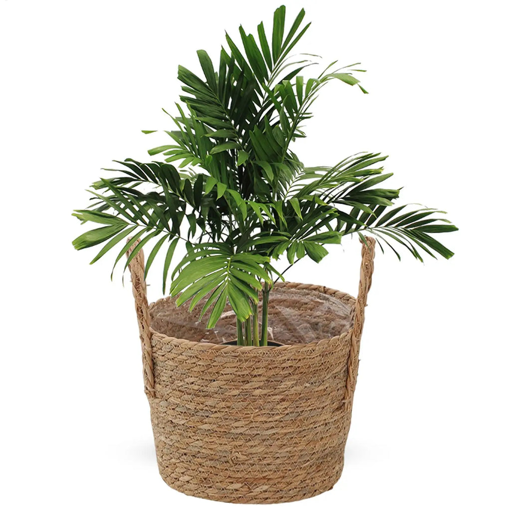 Planter Basket Straw Flowerpot Wicker Planter Basket Flower Pot Rattan Straw Flower Basket For Home Garden Yard Decoration Oasis Select