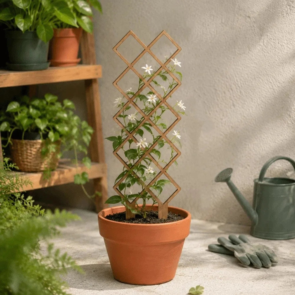 Wooden Garden Plant Trellis Hollow Out Climbing Stand Plant Support Rack Flowers Vine Geometric Plant Trellis Frame Oasis Select