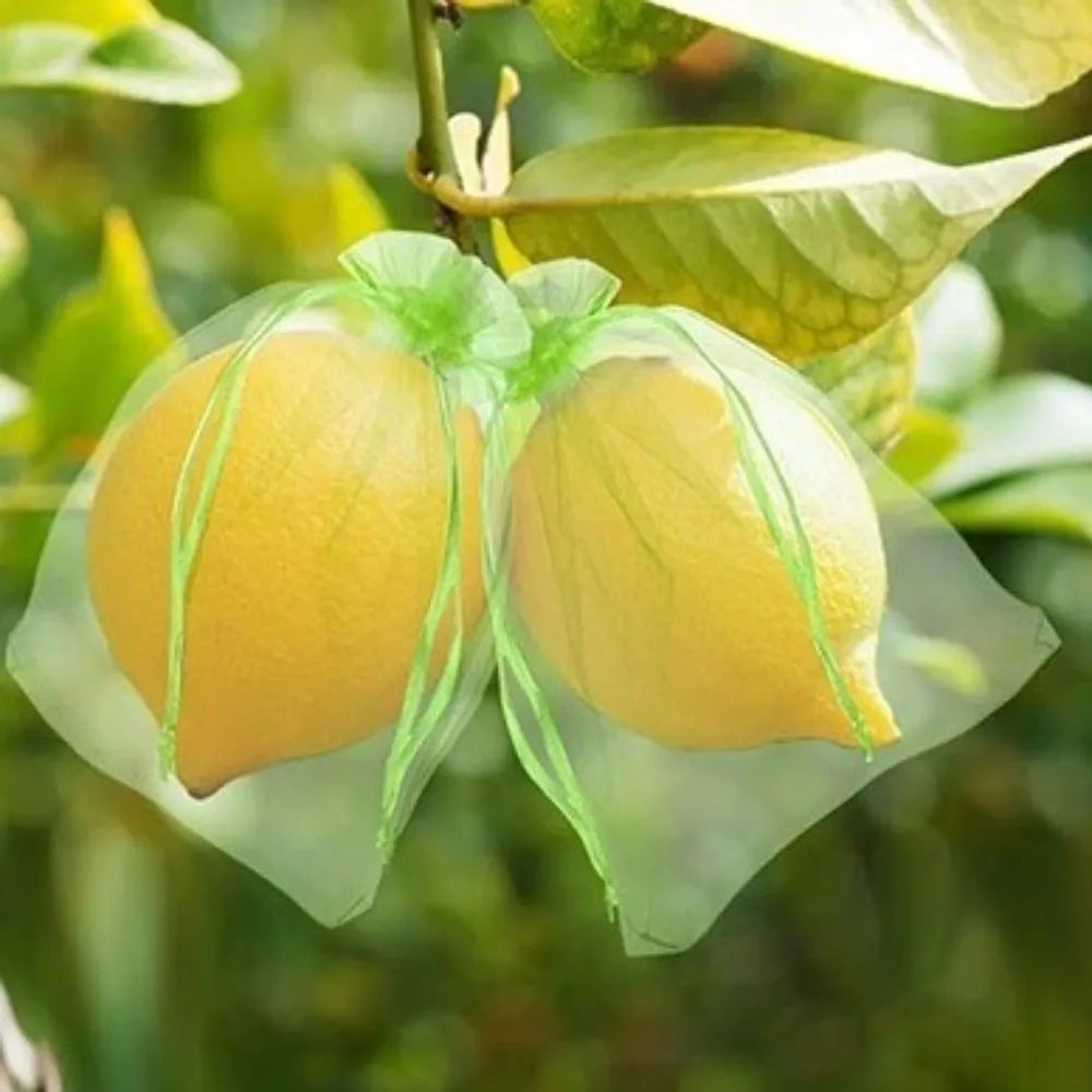 100Pcs Mesh Fruit Protection Bags with Drawstring Weather Resistant Fruits Insect Proof Bag Organza Grape Protection Cover Oasis Select