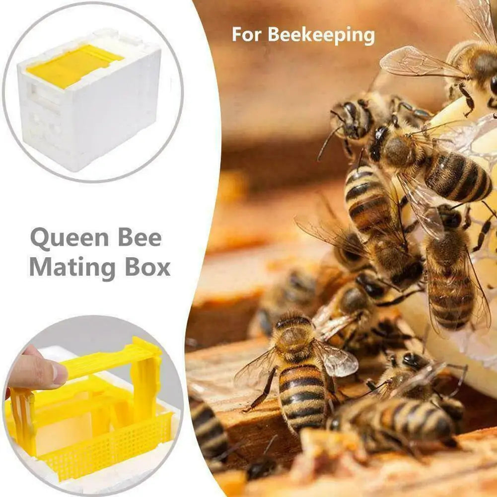 Multi-Function Beehive Beekeeping King Box Foam Home Bee Hive Pollination Boxes Harvest Bee Hive Beekeeper Mating Supplies Oasis Select