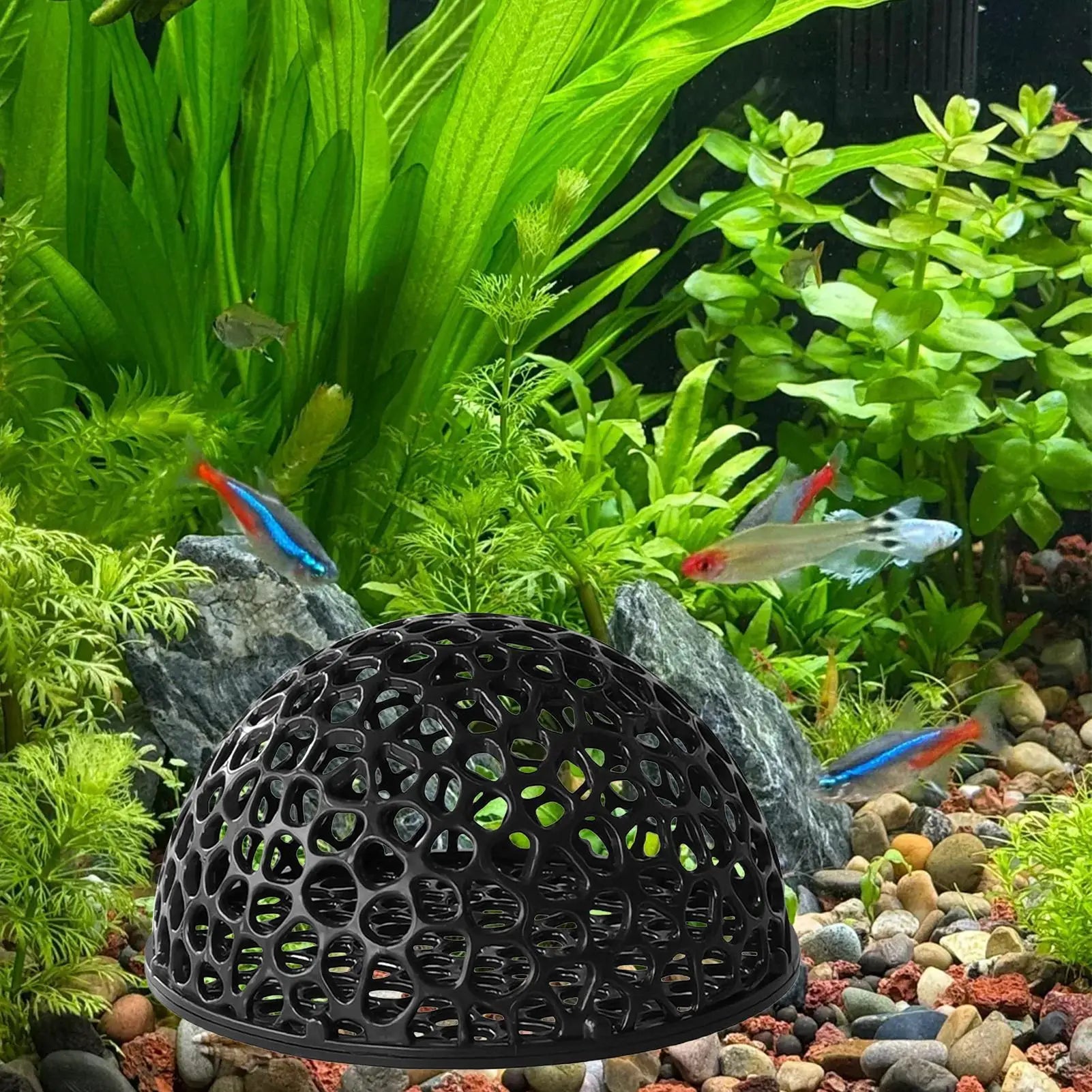 Aquarium Shrimp Hide Aquarium Decoration Small Fish Hide Hollow Betta Habitat Ornamental Fish Resting Place for Freshwater Tank Oasis Select